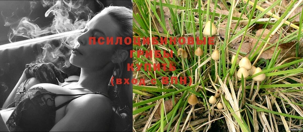 спайс Алексеевка