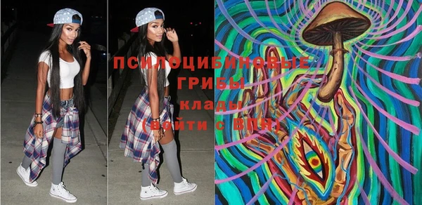 mix Абаза