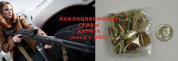 бошки Алзамай