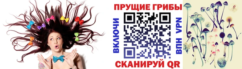 Галлюциногенные грибы Magic Shrooms Агидель